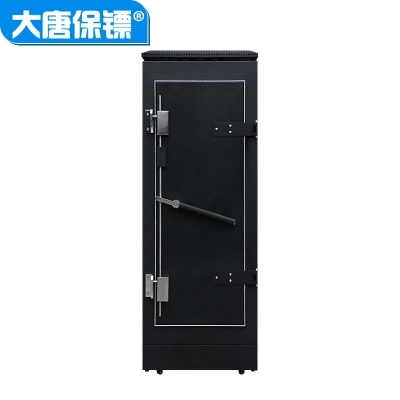 大唐保镖C级电磁屏蔽机柜