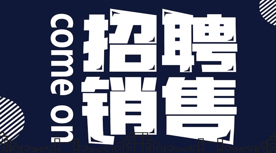 大唐保镖市场部销售总监